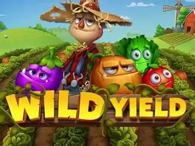 Olymp Win Casino screenshot